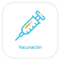 Servicios_vv-copia-65